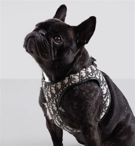 Pet Harness Beige and Black Dior Oblique Jacquard.